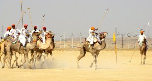 Camel Polo in action